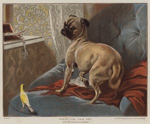 Mi lehet ez (chromolitho)